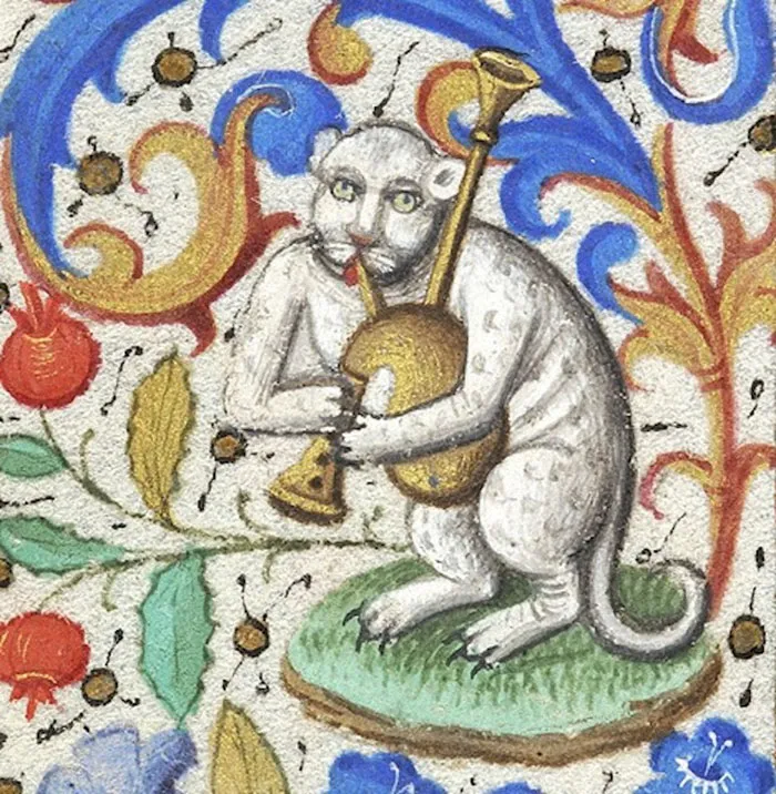 This Must Be A Cat From The Hallucinogenic Meadows Of Scotland