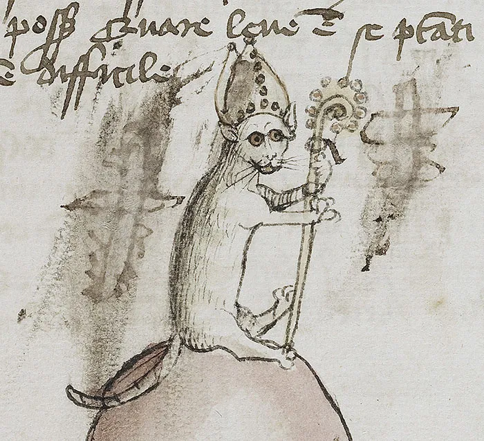 This Bishop Cat