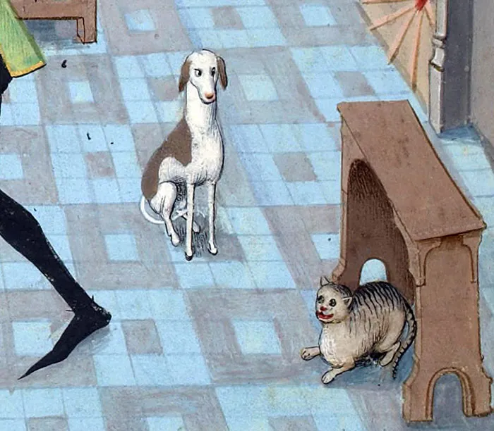 I Want To Have Whatever That Cat Is Having