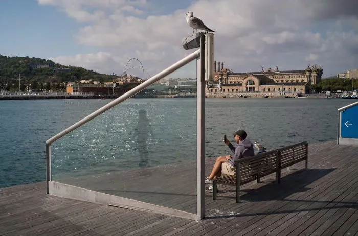 50 Incredibly Lucky Shots By Probably The Best Street Photographer In The World