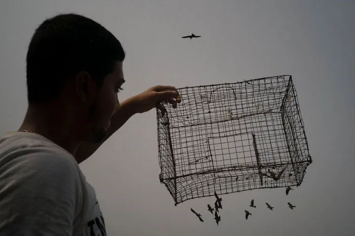 30+ Fotos increíblemente afortunadas hechas por el que probablemente sea el mejor fotógrafo callejero del mundo