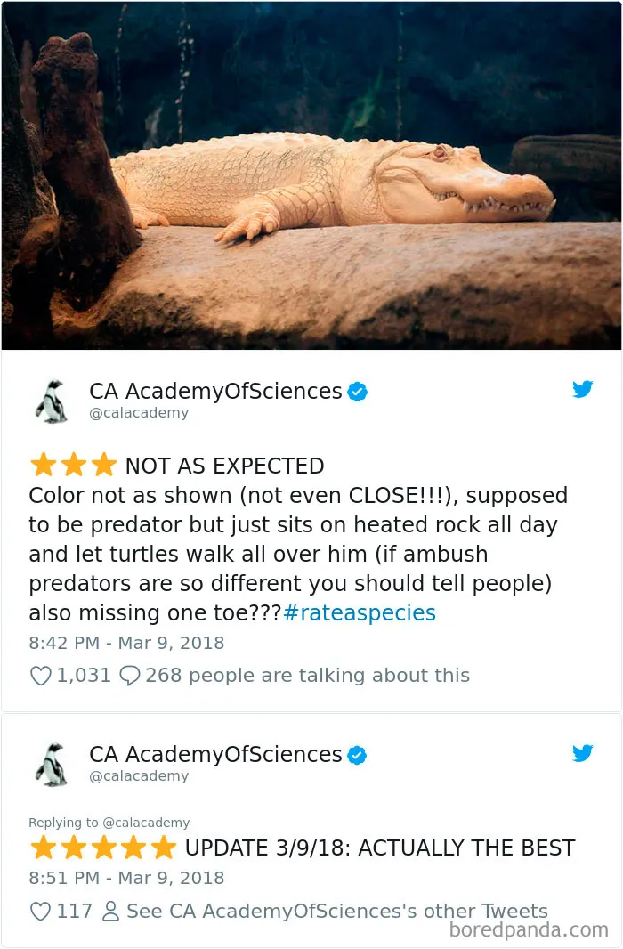 Zoos Are Posting Hilarious Amazon-Like Reviews Of Their Animals, And We Can’t Get Enough