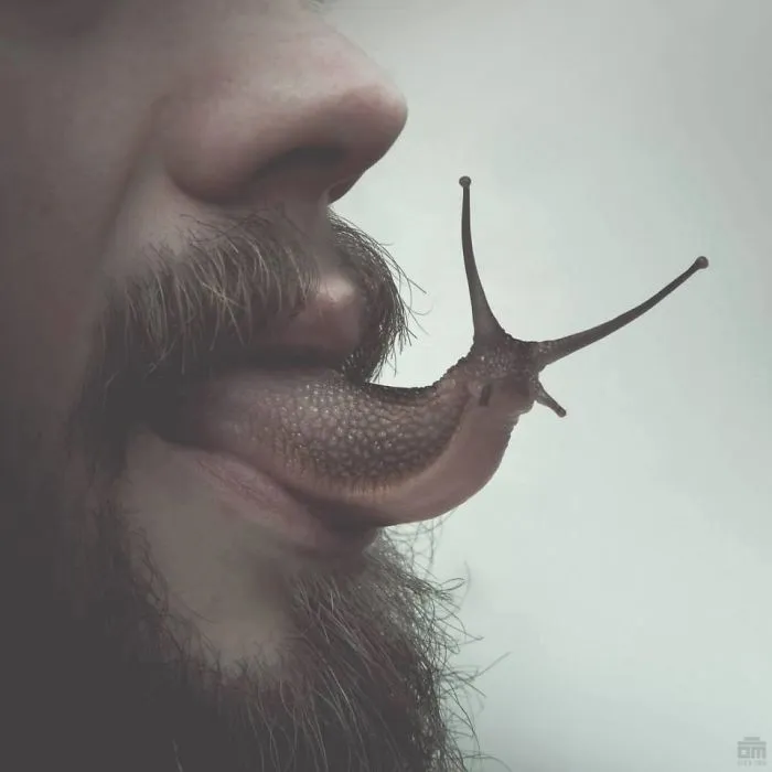 Digital Artist Creates Surreal Art That Will Make Your Skin Crawl