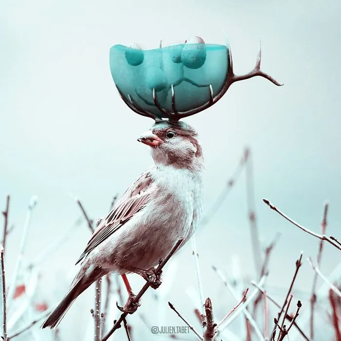 Este artista francés usa Photoshop de forma ingeniosa para crear animales fantásticos