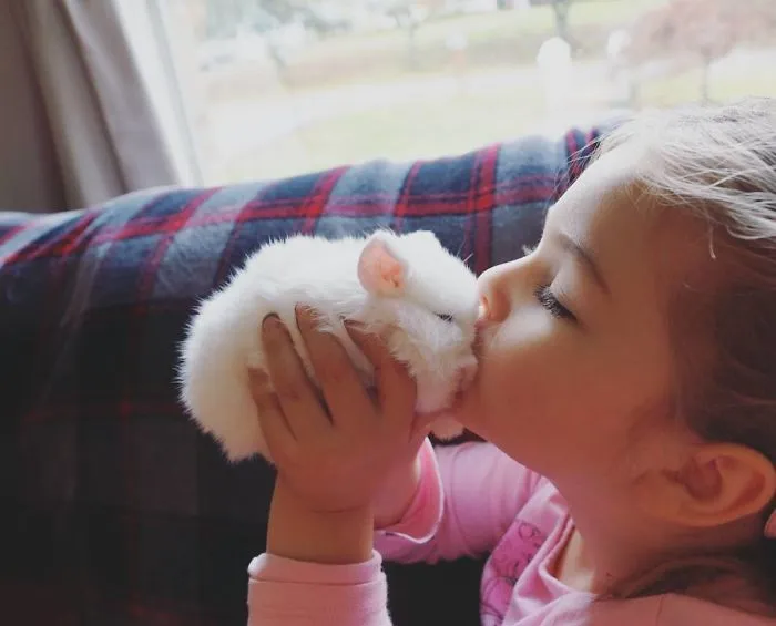 93 Handfulls Of Cute Baby Bunnies That Will Melt Your Heart