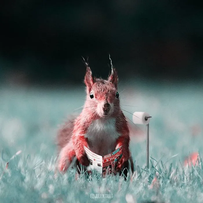 Este artista francés usa Photoshop de forma ingeniosa para crear animales fantásticos
