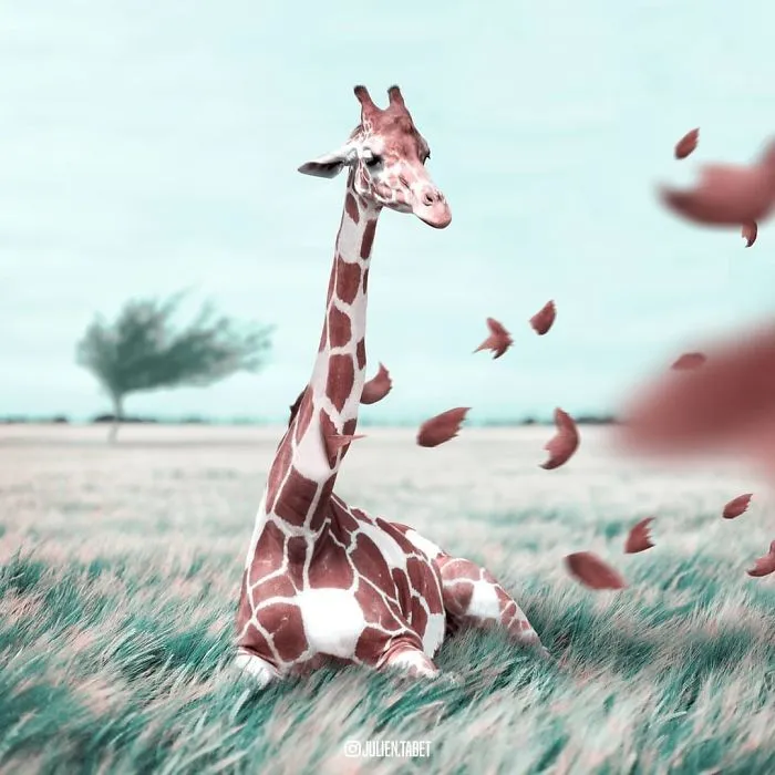 Este artista francés usa Photoshop de forma ingeniosa para crear animales fantásticos