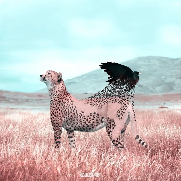 Este artista francés usa Photoshop de forma ingeniosa para crear animales fantásticos