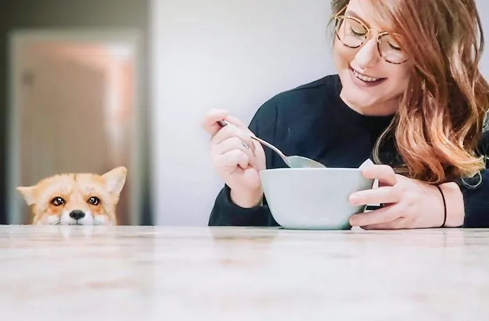 Here's What It's Like To Live With Juniper The World's Happiest Fox