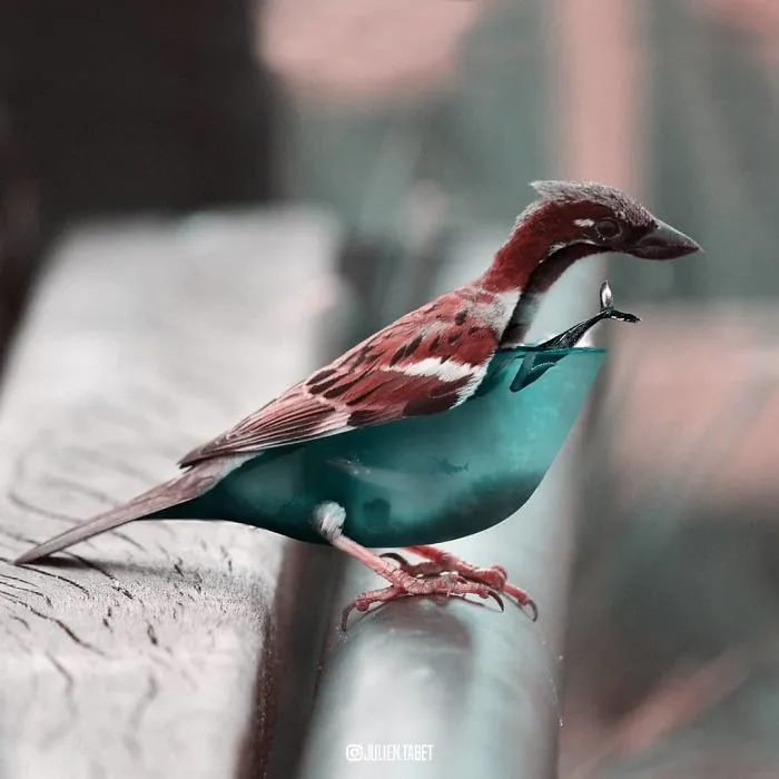 French Artist Cleverly Uses Photoshop To Create Fantastical Animals, And The Result Is Amazing