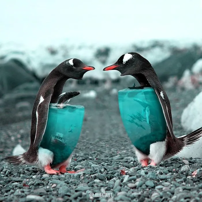 French Artist Cleverly Uses Photoshop To Create Fantastical Animals, And The Result Is Amazing
