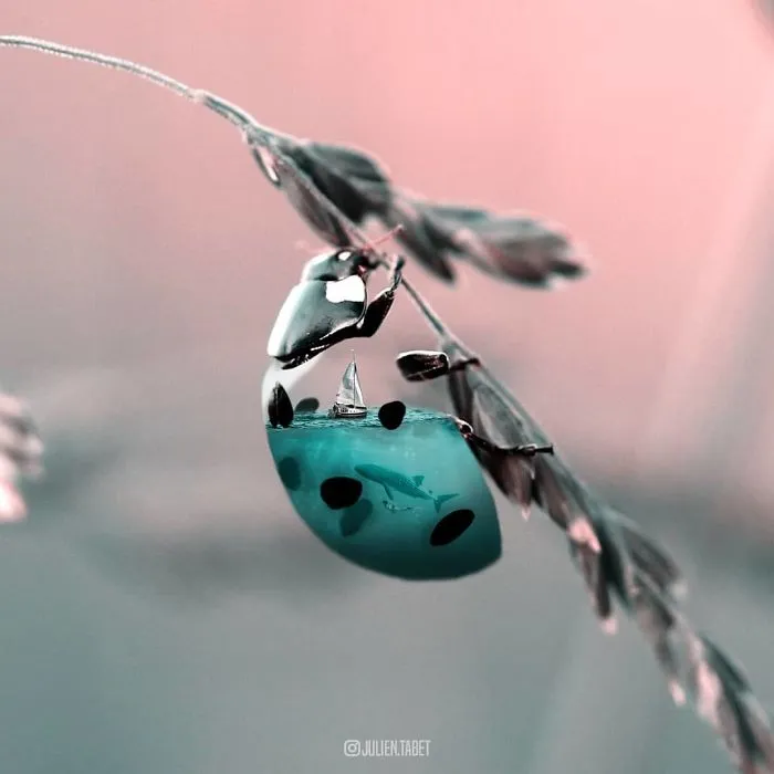 French Artist Cleverly Uses Photoshop To Create Fantastical Animals, And The Result Is Amazing