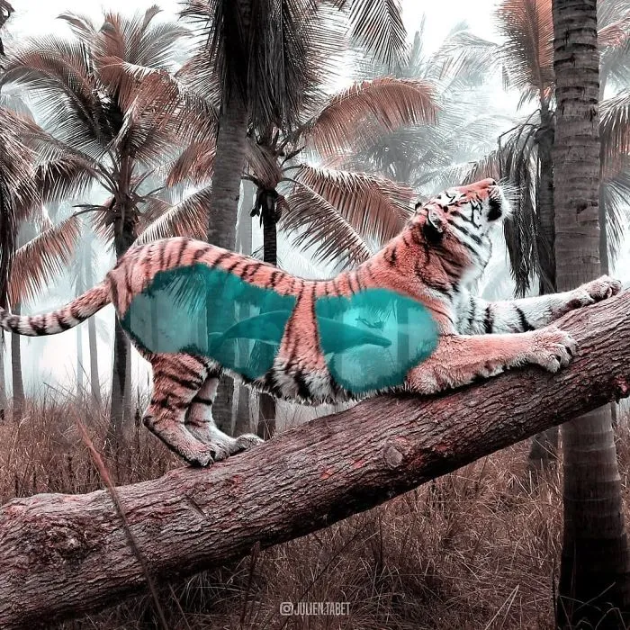 French Artist Cleverly Uses Photoshop To Create Fantastical Animals, And The Result Is Amazing