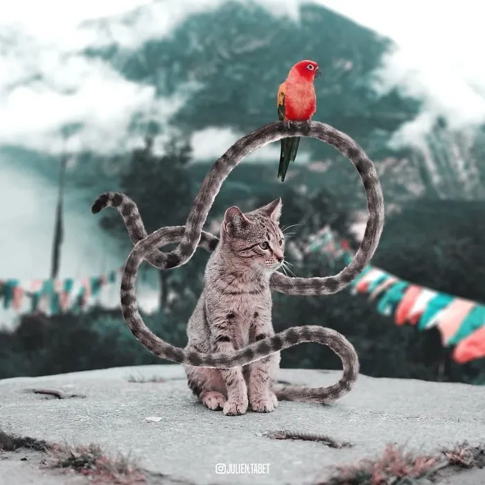 Este artista francés usa Photoshop de forma ingeniosa para crear animales fantásticos