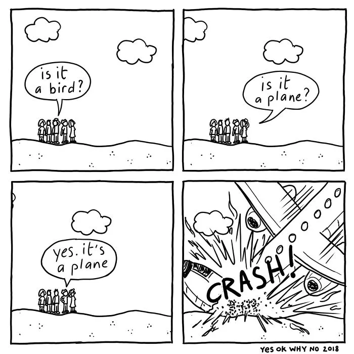 Bird Or Plane