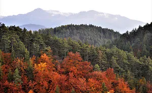 Autumn In Transylvania