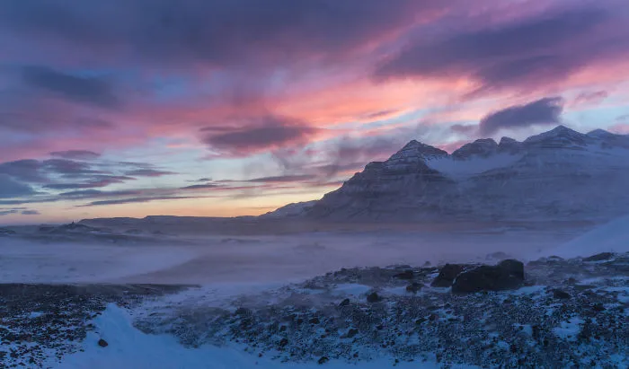 Purple Skies