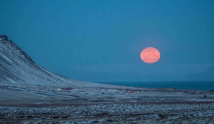 Pink Moon