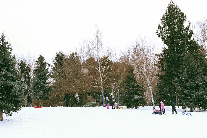 Families Having Fun