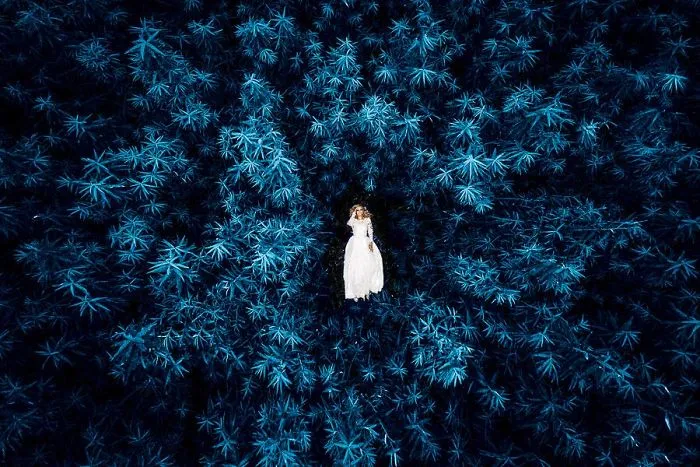 40 Best Photos From People Who Actually Had Their Dream Weddings