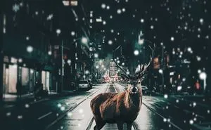 I Combined Dreams And Reality In These Photo Manipulations (28 Pics)