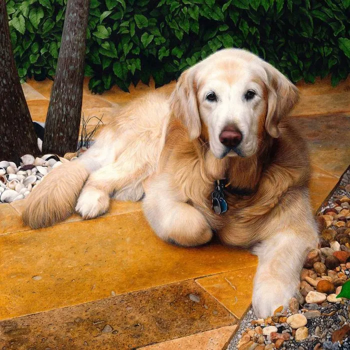 Artist Draws Realistic Portraits Using Color Pencils, And You Might Confuse Them With Photos