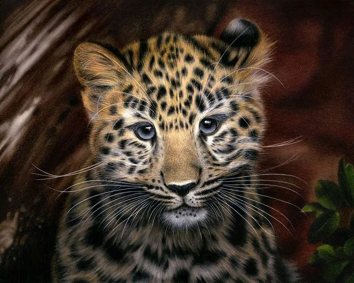 Artist Draws Realistic Portraits Using Color Pencils, And You Might Confuse Them With Photos