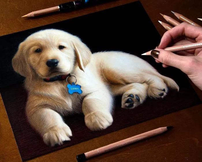 Artist Draws Realistic Portraits Using Color Pencils, And You Might Confuse Them With Photos