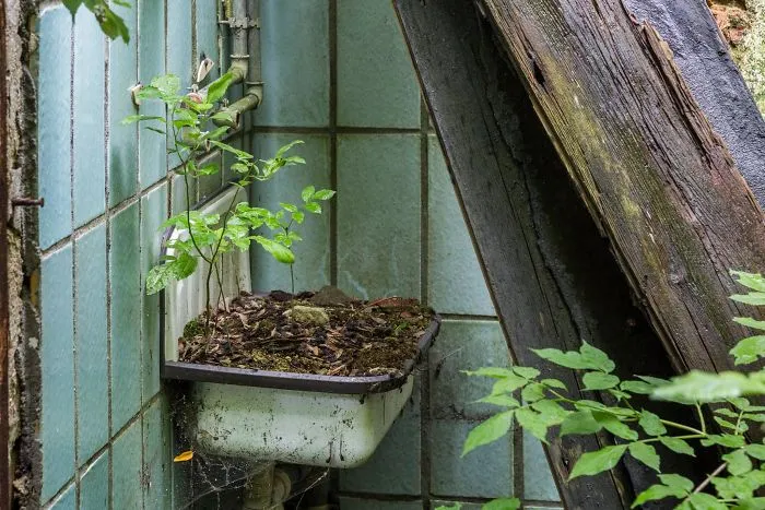 I Took Photos Of Nature Taking Back Abandoned Places All Over The World (30 Pics)
