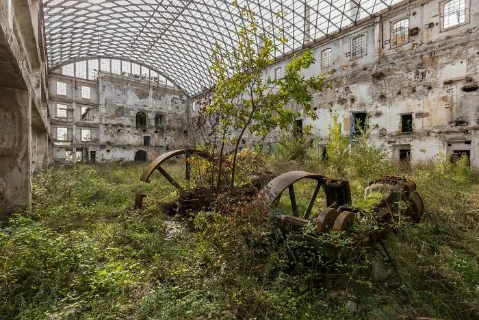 I Took Photos Of Nature Taking Back Abandoned Places All Over The World (30 Pics)