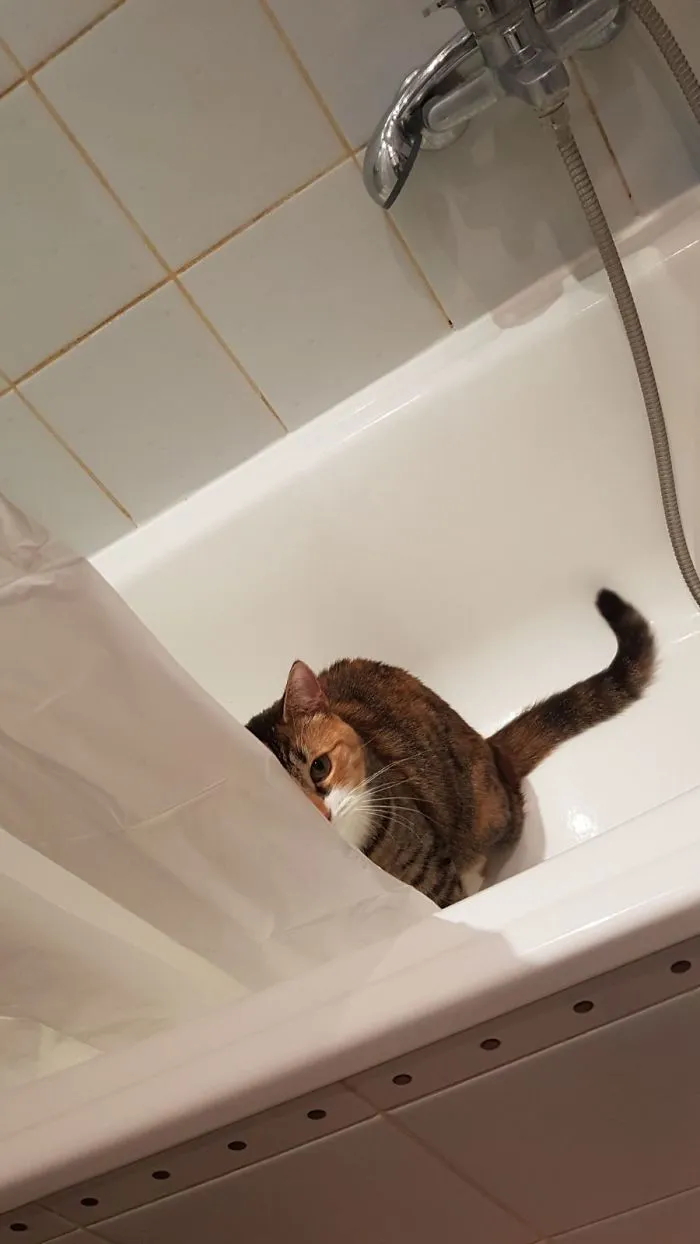 Everyday In Bathroom