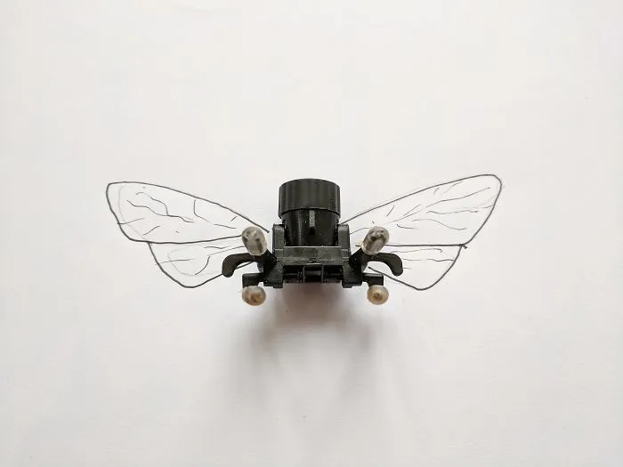 I Create Art Using Everyday Objects
