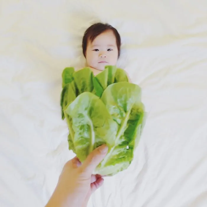 Please Romaine Calm