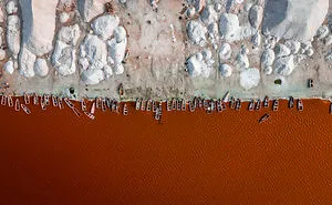 Feeding On Salt-The Zipper Of The Earth