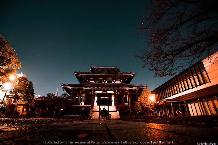 Tokyo: The Best Thing That Happened To My Photography