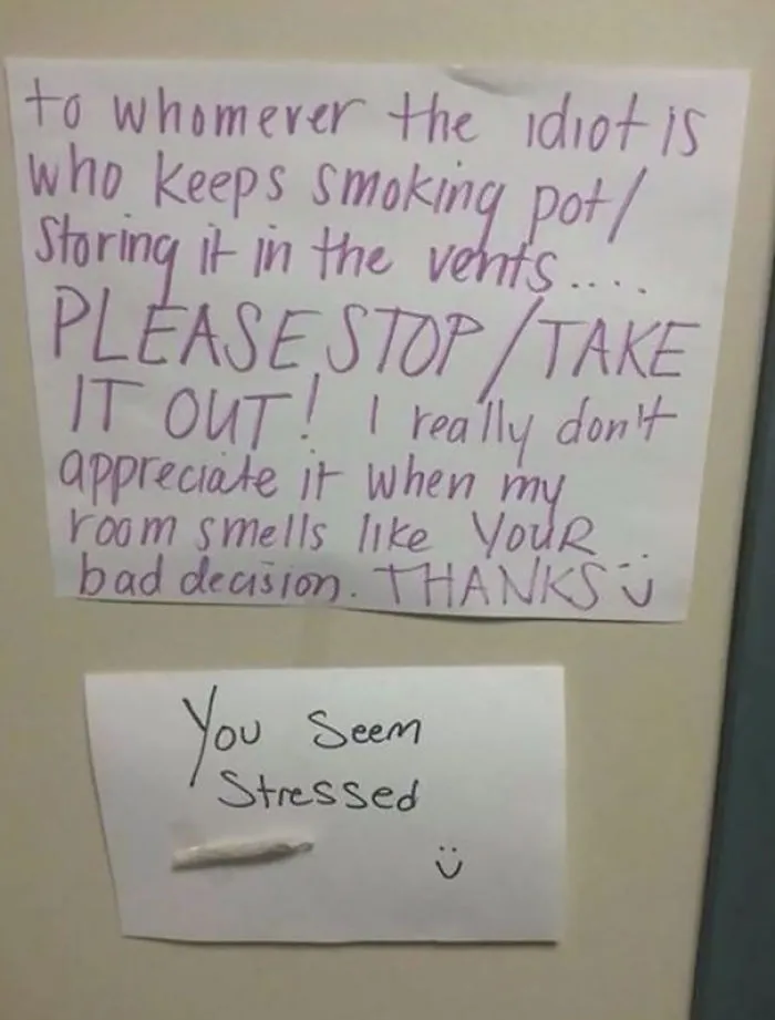 You Seem Stressed