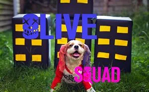 My Dog Thinks Shes Harley Quinn