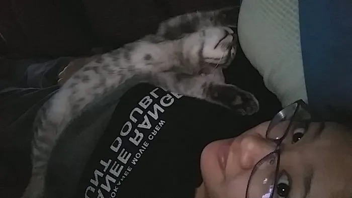 People Are Posting Pics Of Their Cats Stretching, And It’s Hilarious (198 Pics)