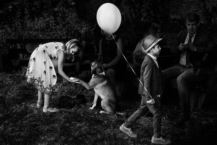 40 Best Photos From People Who Actually Had Their Dream Weddings