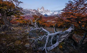The End Of The Earth Is Full Of Colors