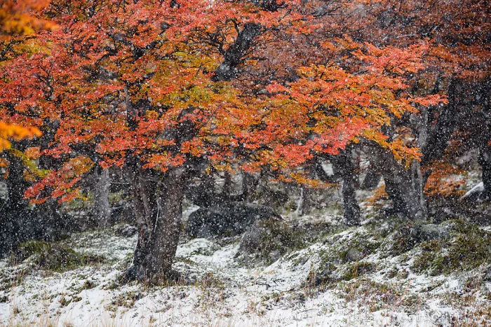 The End Of The Earth Is Full Of Colors