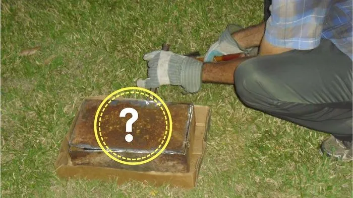 Omg!! Mysterious Box Discovered In Grandparents’ House Holds A Decades Old Secret Nobody Saw Coming