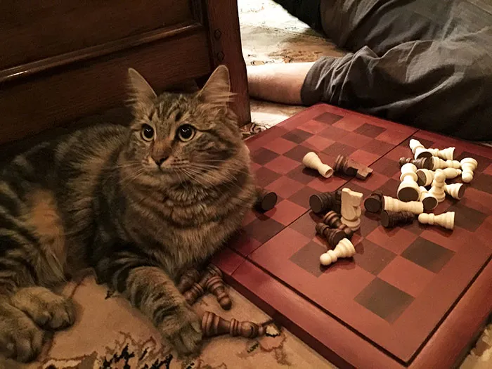 Think You Can Play Chess Around Her? Think Again. She Always Wins