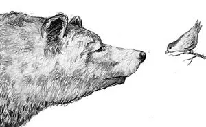 Making Friends- Illustrations