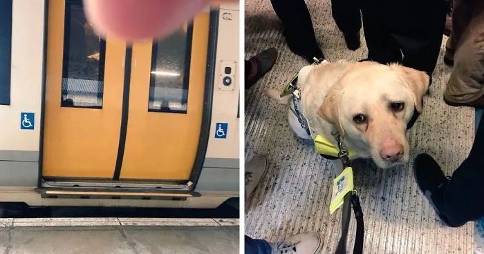 Blind Man Left In 'Tears' After Nobody Gave Up Their Seat For Him And His Guide Dog On The Train