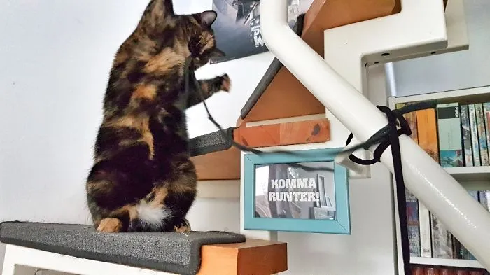People Are Posting Pics Of Their Cats Stretching, And It’s Hilarious (198 Pics)