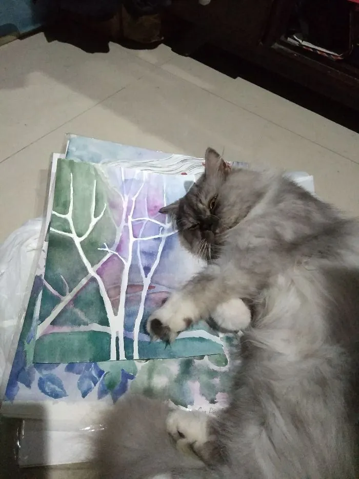 I Want Your Paintings For My Matress Tonight!
