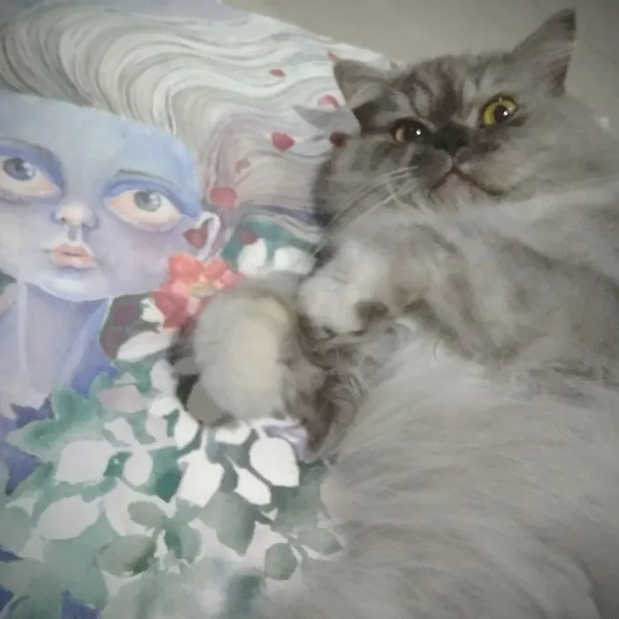 Laying On Some Of My Hooman Painting And Drawing Paper