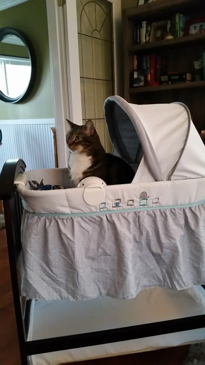 What's A Baby?