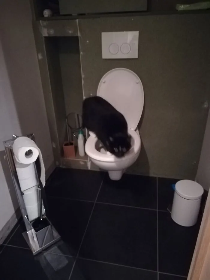 When You Really Really Have To Go...